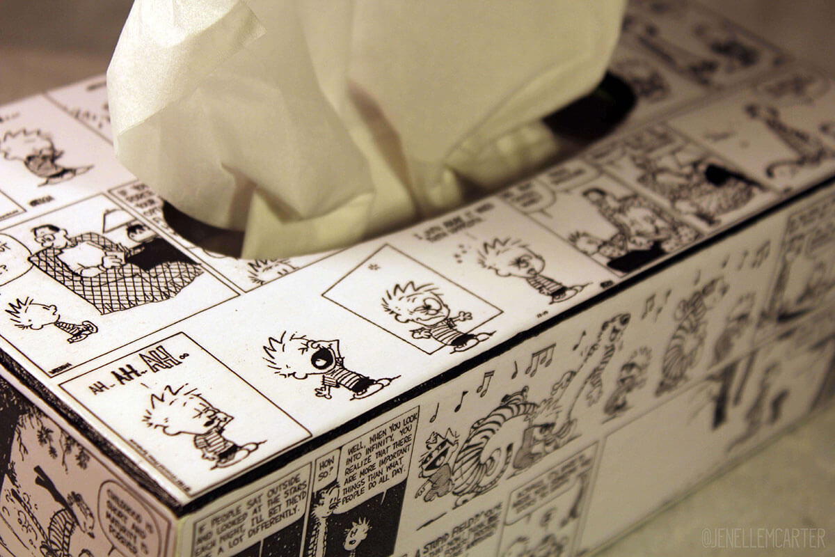 Calvin and Hobbes tissue box cover top Calvin and Hobbes tissue box cover top