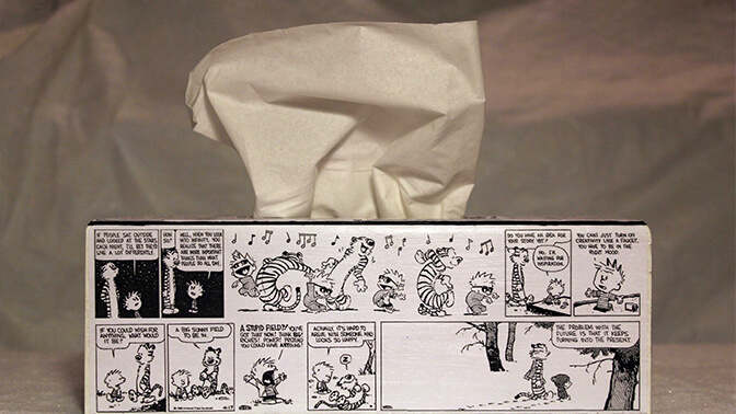 Calvin and Hobbes Tissue Box